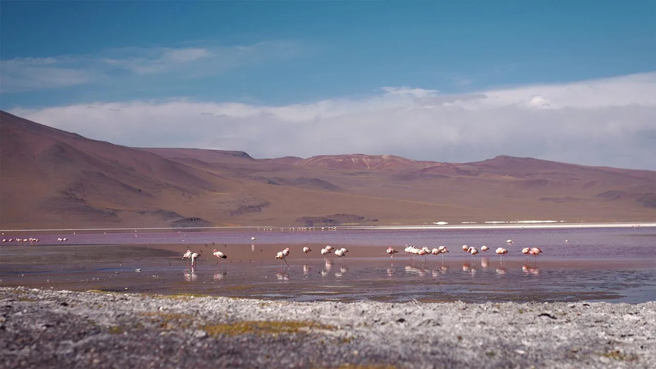 Loic Navarro - Videaste Monaco & Videaste Nice - Uturunku Travel 1