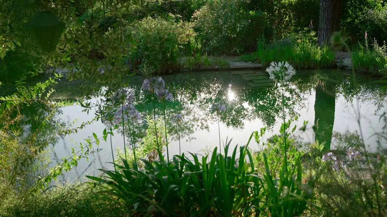Vidéaste et Photographe Nice - Loïc Navarro Orion Treehouses Saint Paul de Vence 6